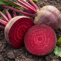 RedNite™ Beet Root Extract